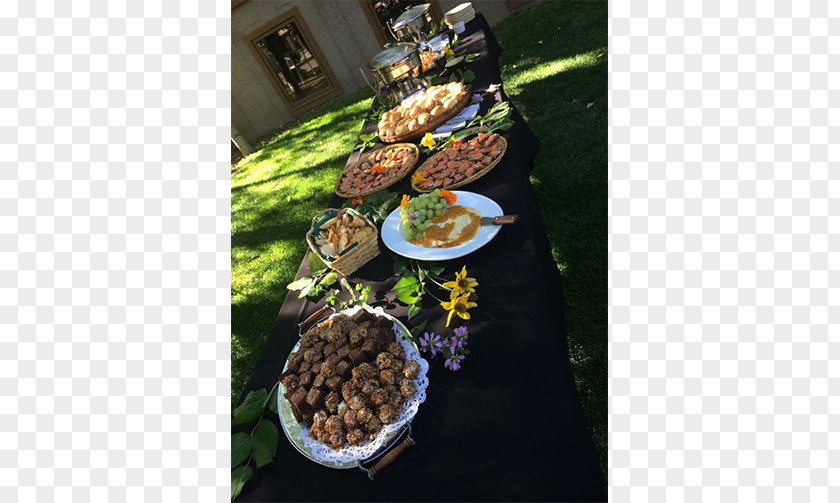 Silver Fox SILVER FOX CATERING Sun Valley & Ketchum, ID Vegetarian Cuisine Buffet Recipe PNG