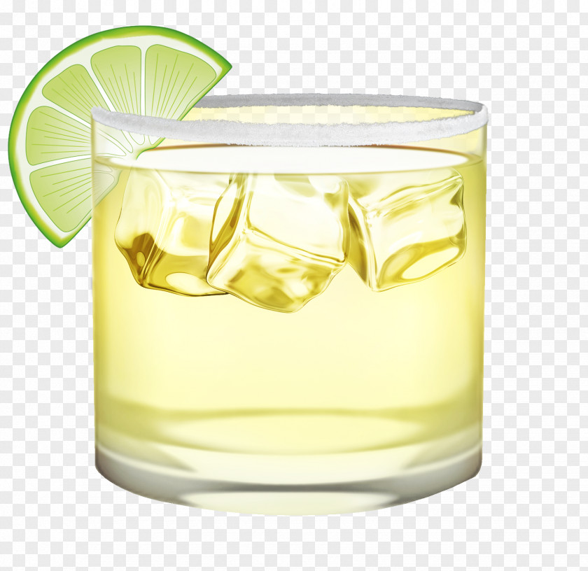 Tequila Cocktail Garnish Margarita Gin And Tonic Harvey Wallbanger PNG