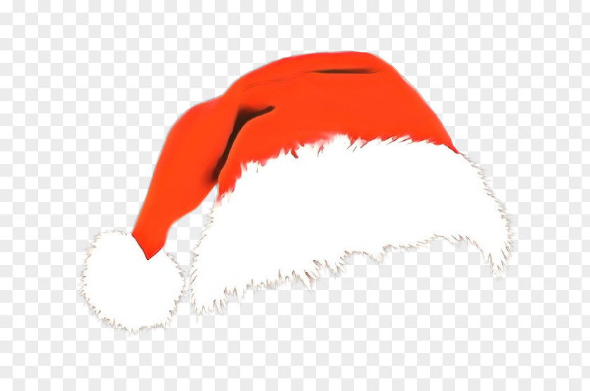 Cap Costume Hat Orange PNG