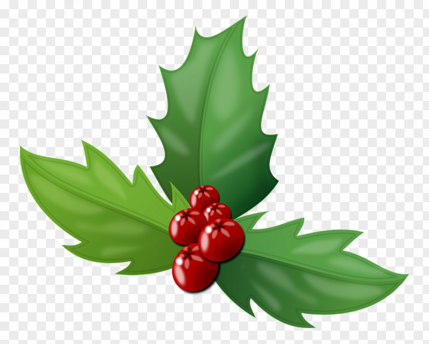 Christmas Berry PNG