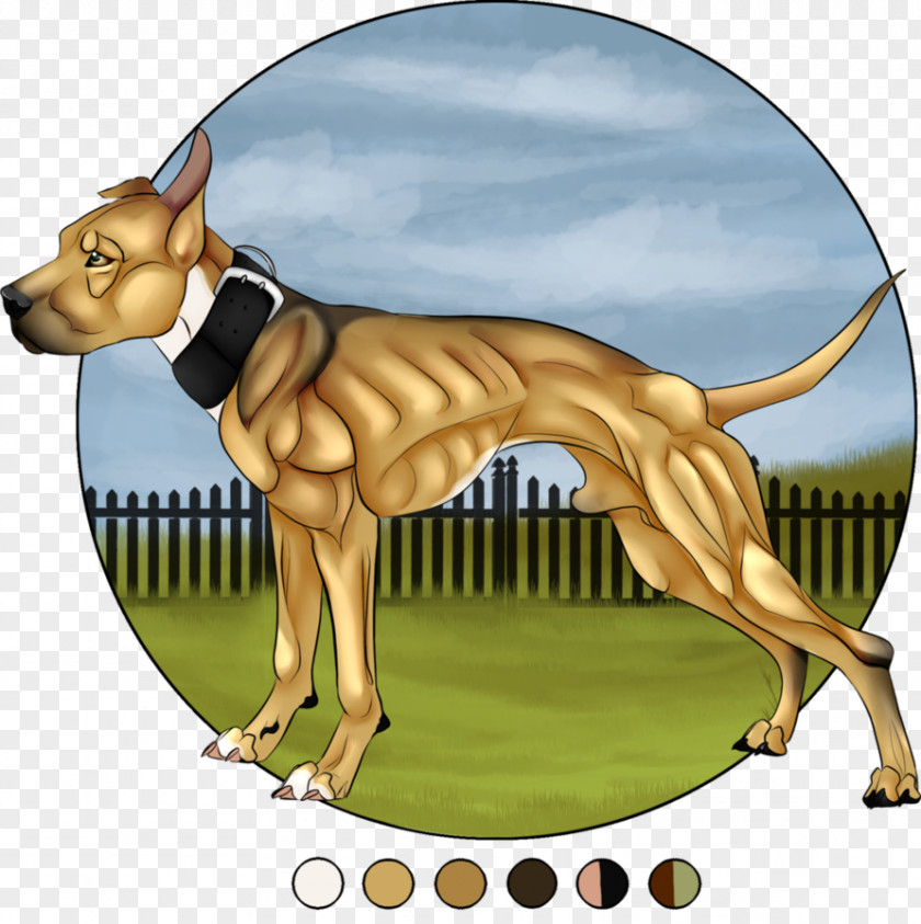 Dog Breed Non-sporting Group Clip Art Macropods PNG