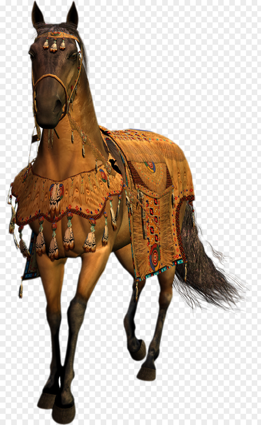 Mustang Middle Ages Horse Harnesses Stallion Blog PNG