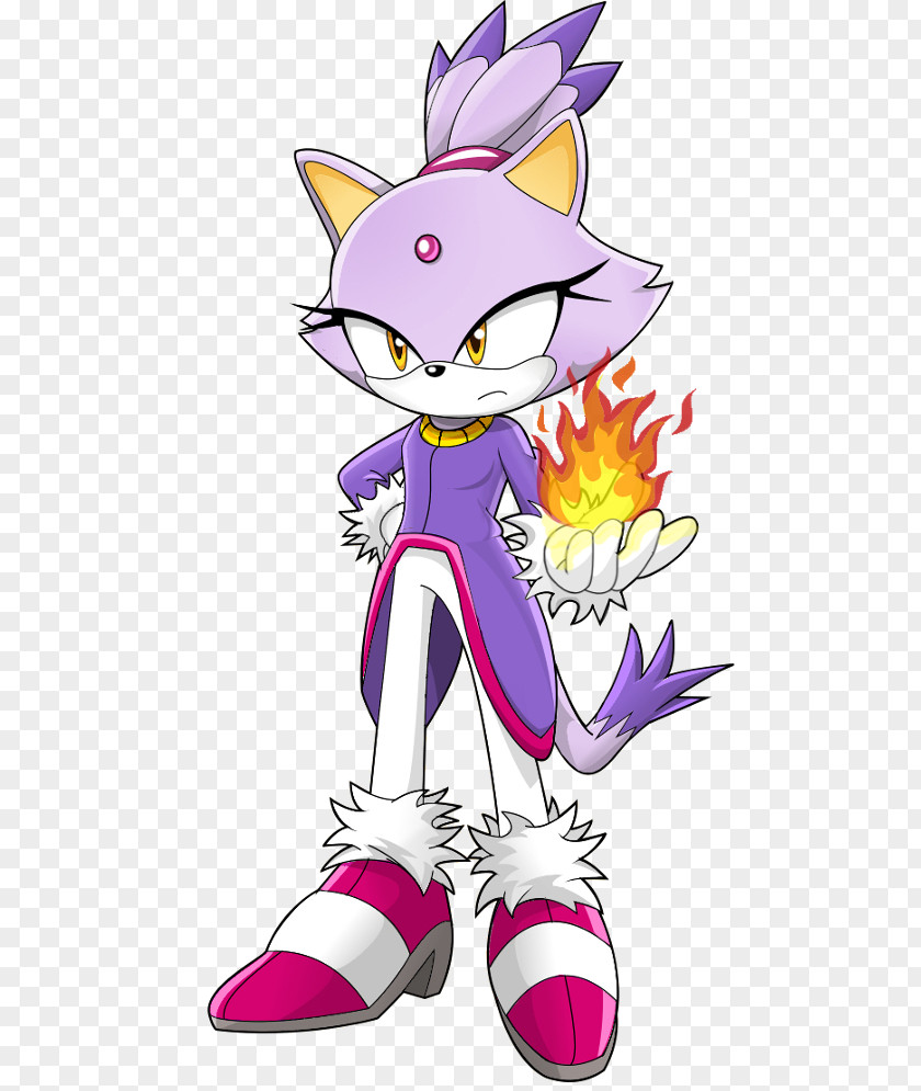 Sonic Rush Adventure Amy Rose Rouge The Bat Blaze Cat PNG