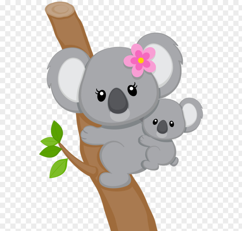 Cartoon Bear Koala Cuteness Marsupial Clip Art PNG