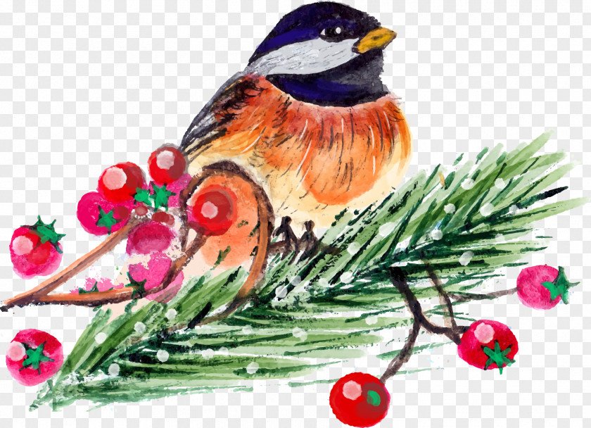 Christmas Bird Painting Count PNG