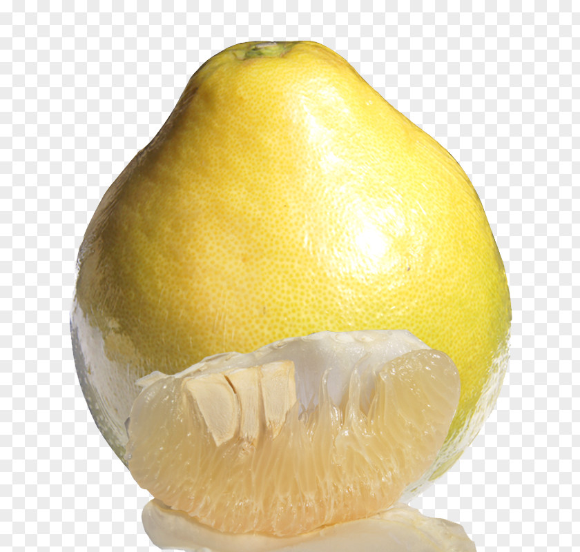 Fresh Grapefruit Citron Pomelo Lemon Citrus Junos PNG