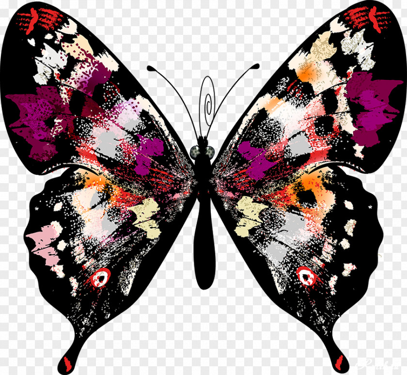 Art Background Butterfly Clip PNG