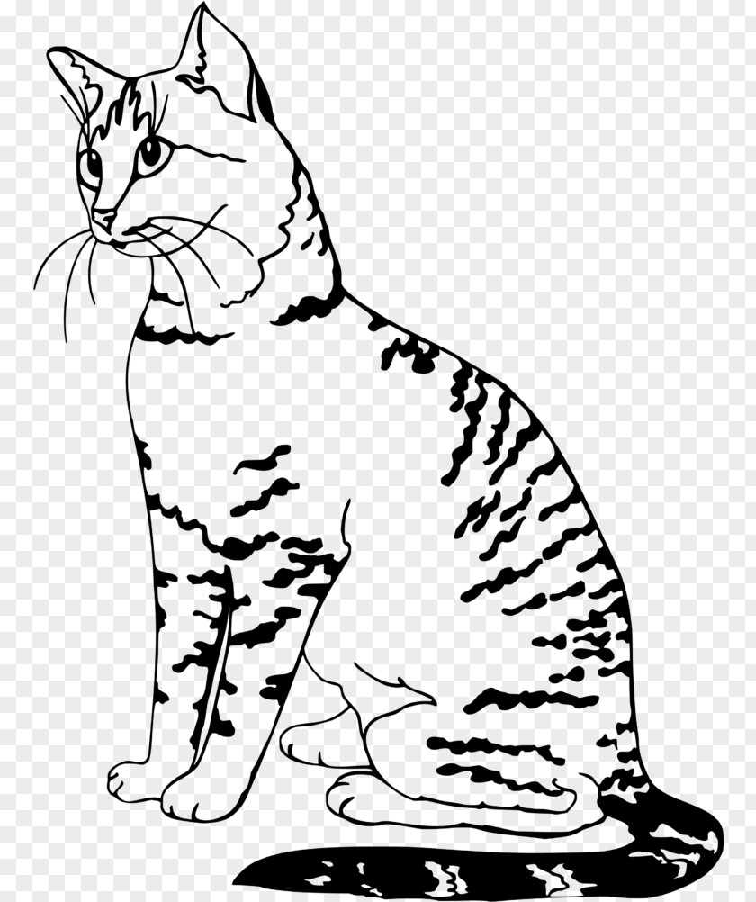 Egypt Egyptian Mau Himalayan Cat Drawing Wall Decal PNG