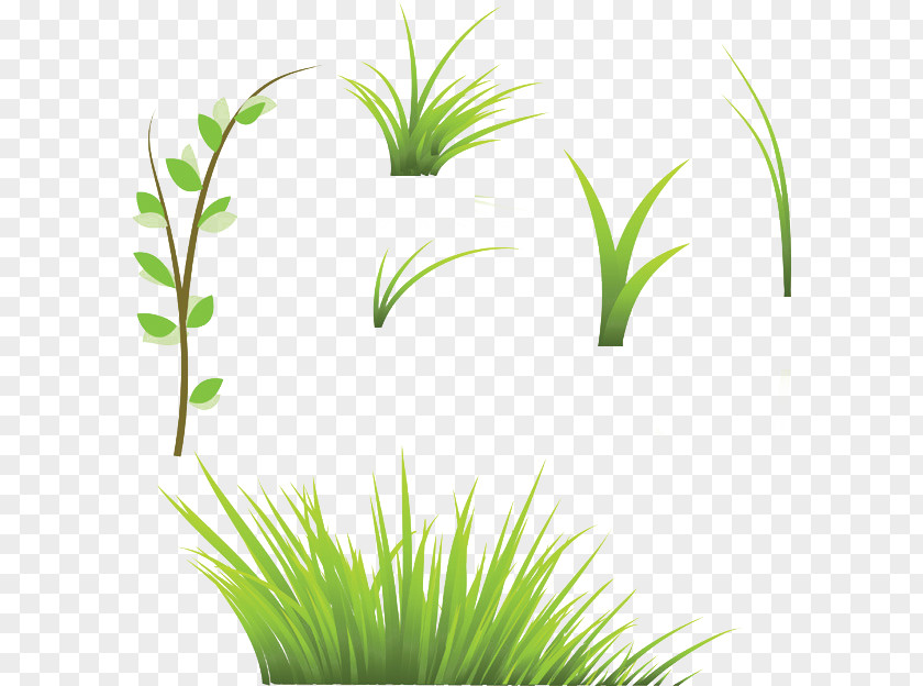 Grass Lawn Stock Photography Royalty-free Clip Art PNG