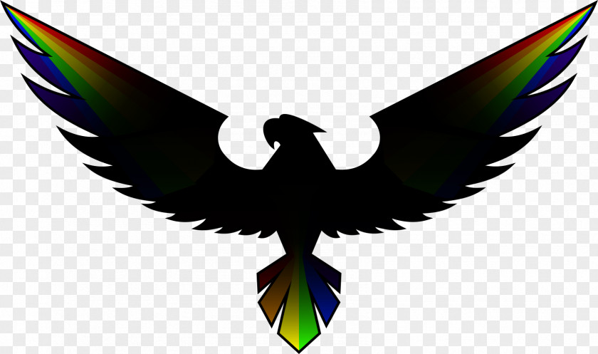 Hawk Algorithm Logo PNG