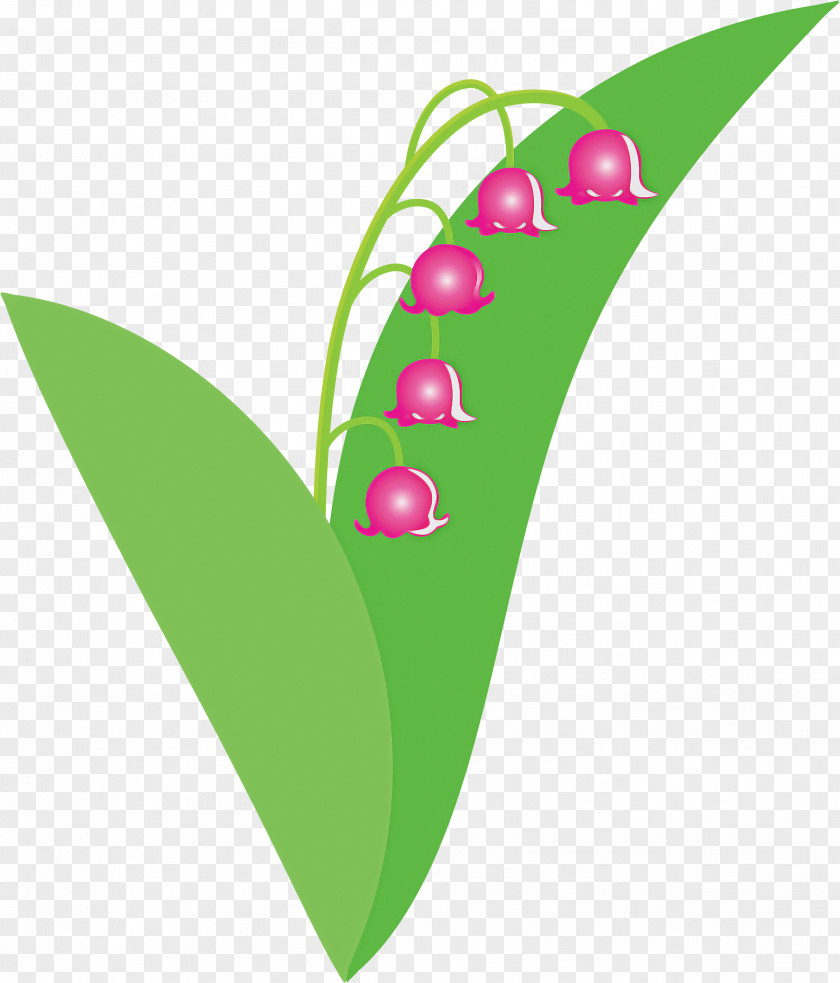 Lily Bell Flower PNG