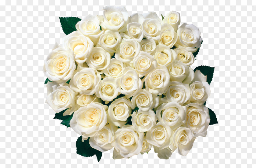 Rose Flower Bouquet White PNG