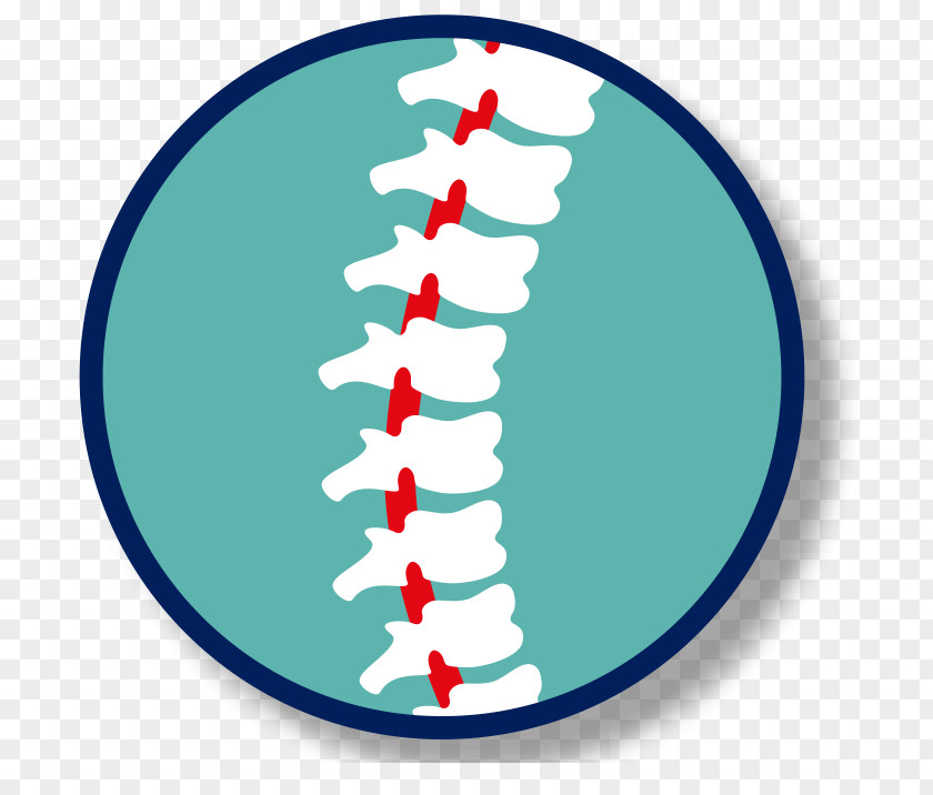Spine Spinal Cord Injury Clip Art Health Manipulation PNG