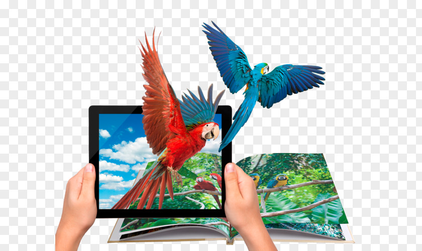 Augmented Reality Coloring Book Wikitude Virtual PNG