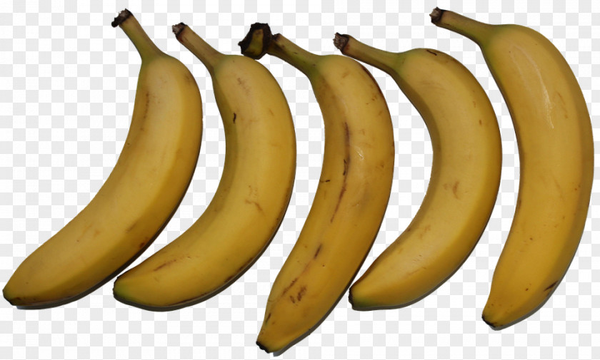 Banana Saba Image Stock.xchng PNG