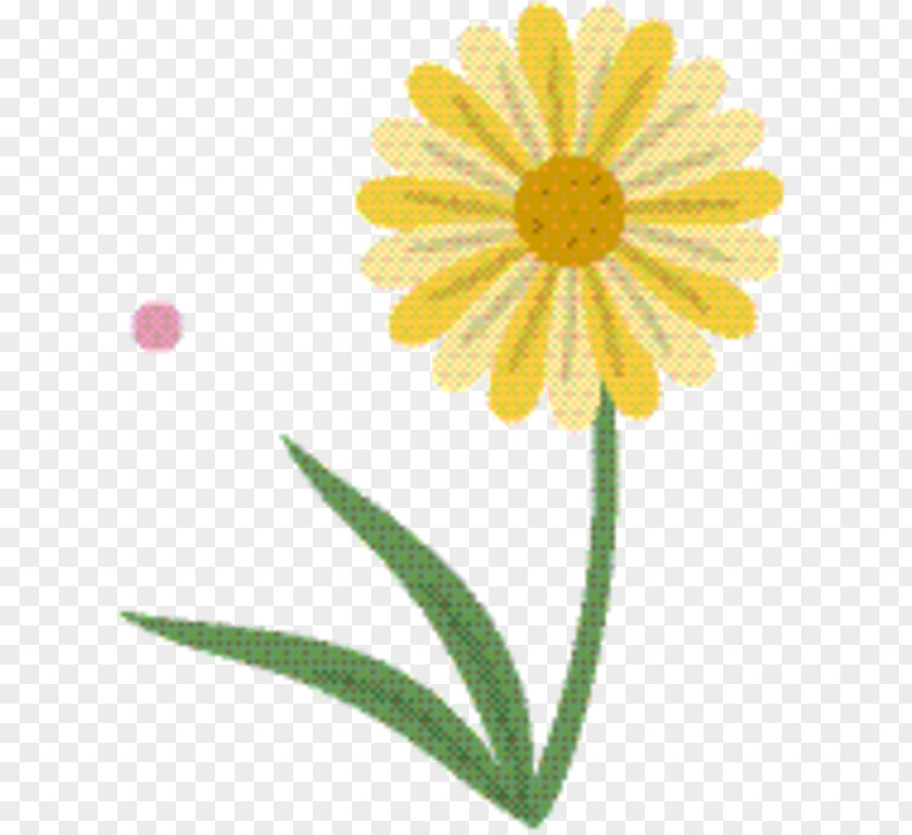 Gerbera Plant Stem Marigold Flower PNG