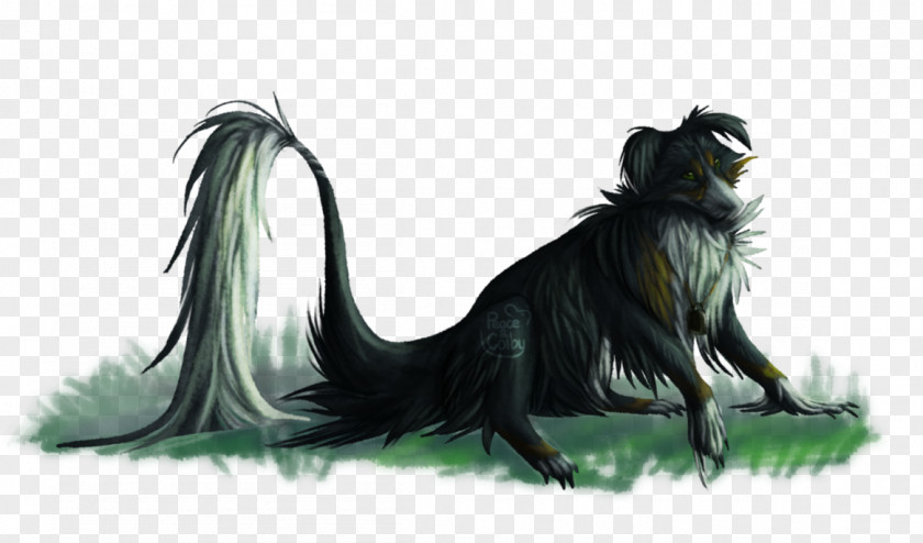 Grass Stadium Dog Breed Cat Fur Mammal PNG