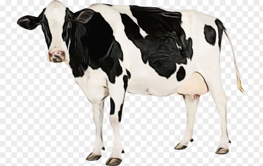 Milk Blackandwhite Watercolor Animal PNG