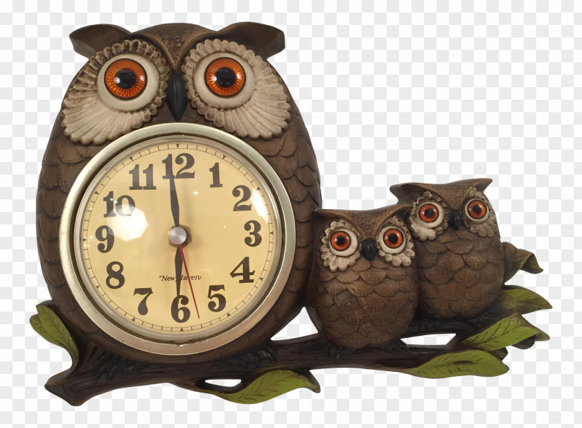 Owl Clock Wood /m/083vt PNG