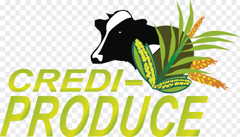 Produce Credit Rue De L'Arc Field Archery Logo Account PNG