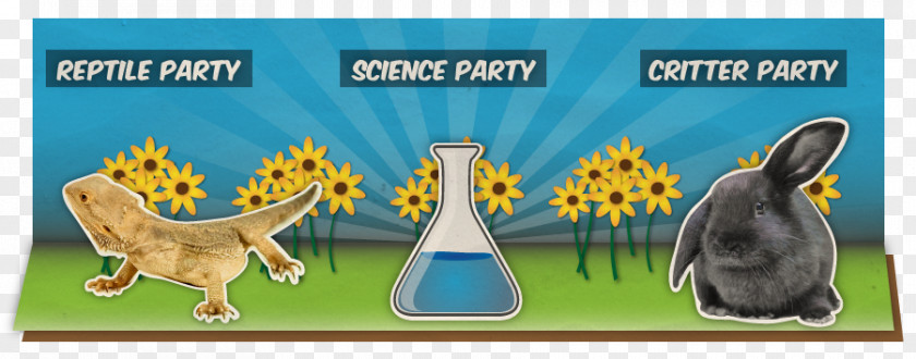 SAFARI PARTY Cartoon Tail Google Play PNG