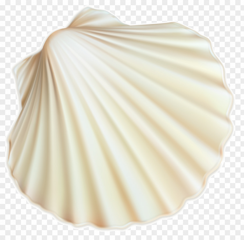 White Sea Shell Clipart Image Seashell Restaurant #6 Trust Spiral PNG