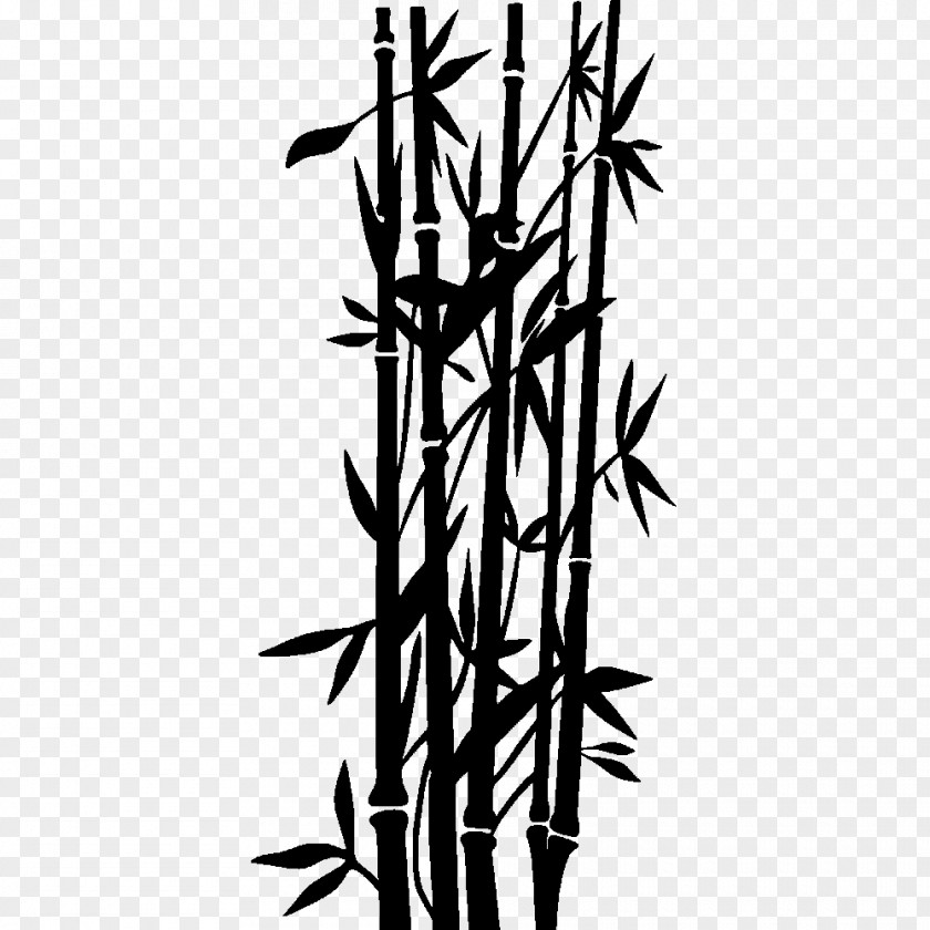 Bamboo Vector Wall Decal Sticker Tropical Woody Bamboos PNG