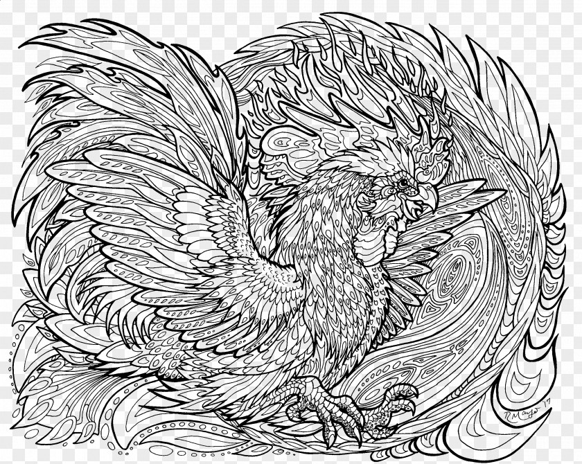 Chicken Rooster Line Art Drawing PNG