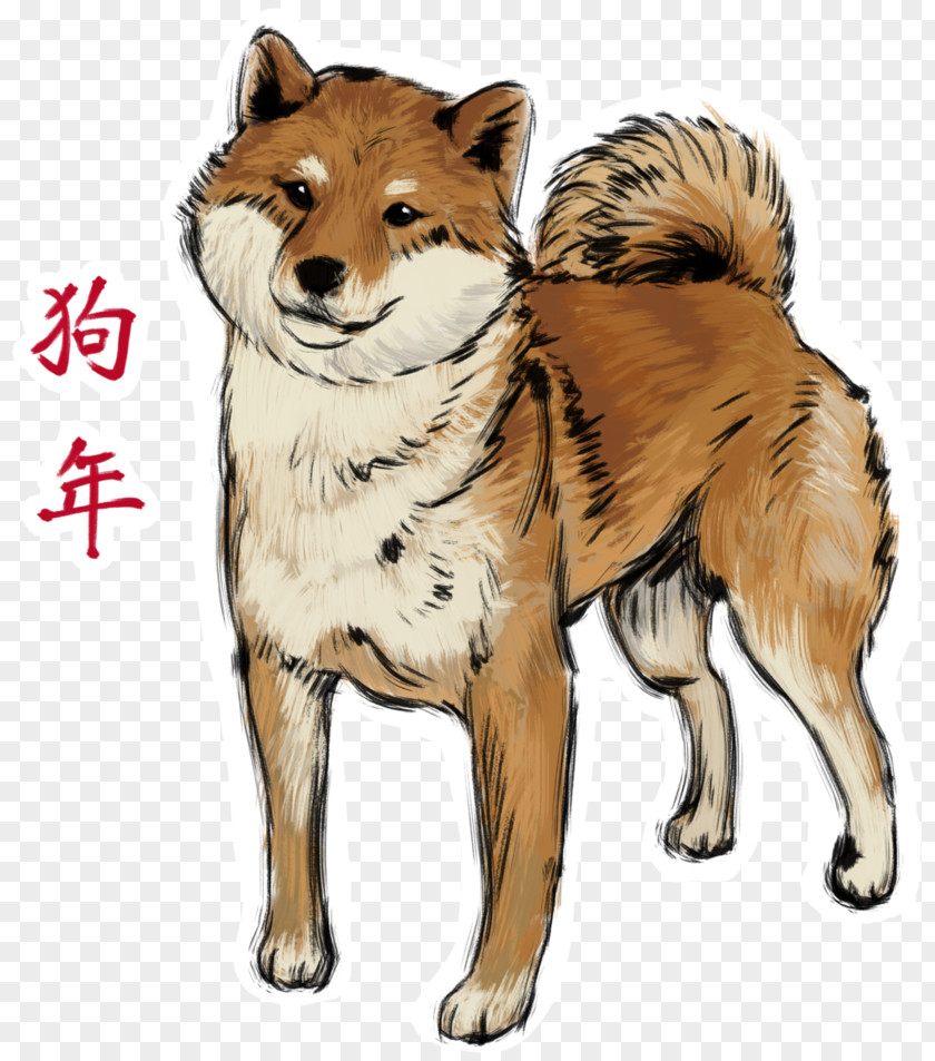 Chinese Dog Breed Siberian Husky East Laika West Greenland PNG