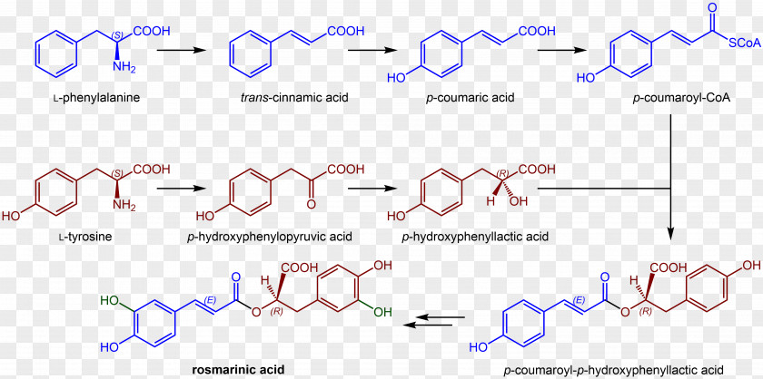 Tetrahydrocannabinolic Acid Synthase Rosmarinic Chemistry Chemical Synthesis Compound Boronic PNG