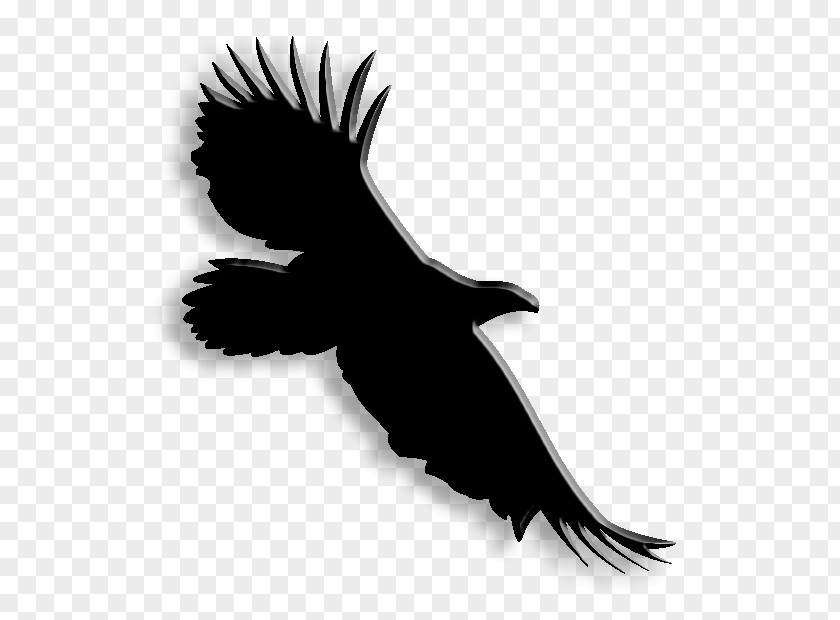 Eagle Logo Pollution Green Building Bird Architectural Engineering PNG