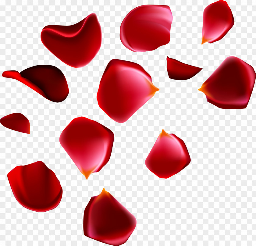 Floating Rose Petals Beach Petal Euclidean Vector PNG