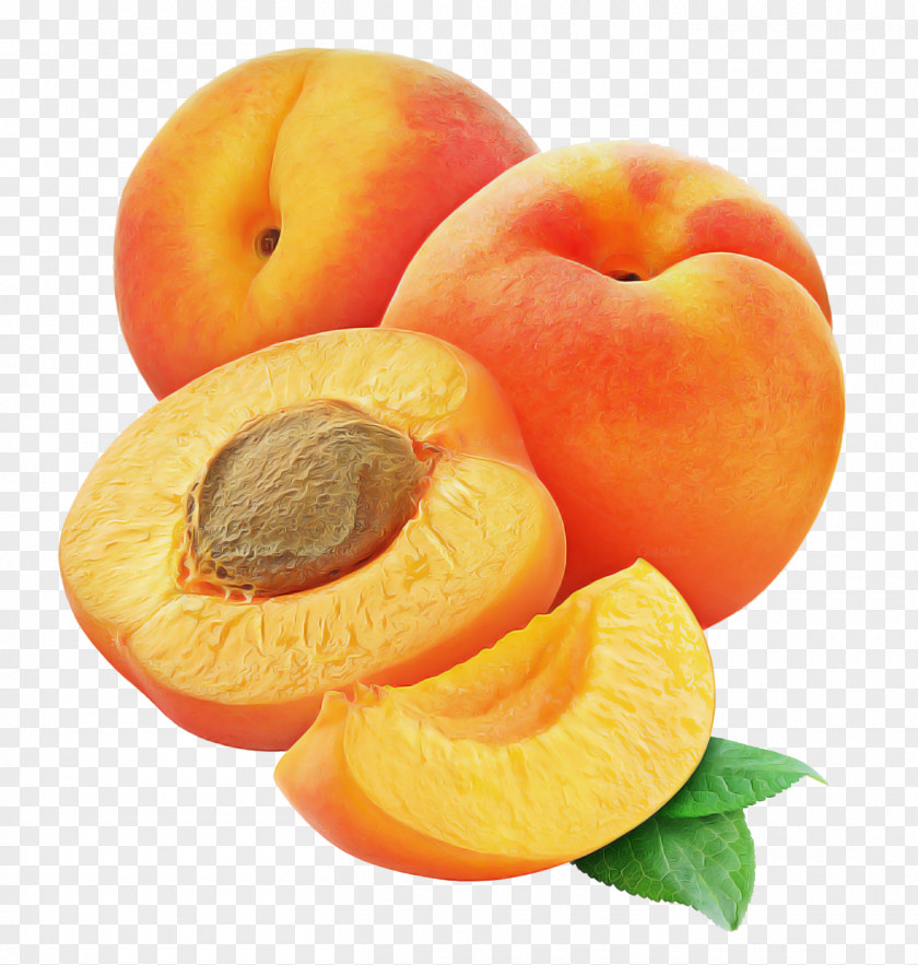 Apricot Kernel Superfood Orange PNG