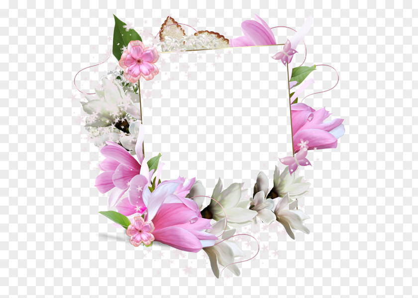 Bahia Background Stock Photography Borders And Frames Picture Flower Photo Frame PNG