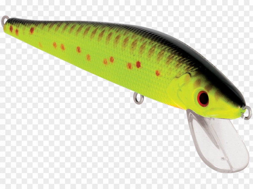 Stick Master Spoon Lure Perch Fresh Water PNG