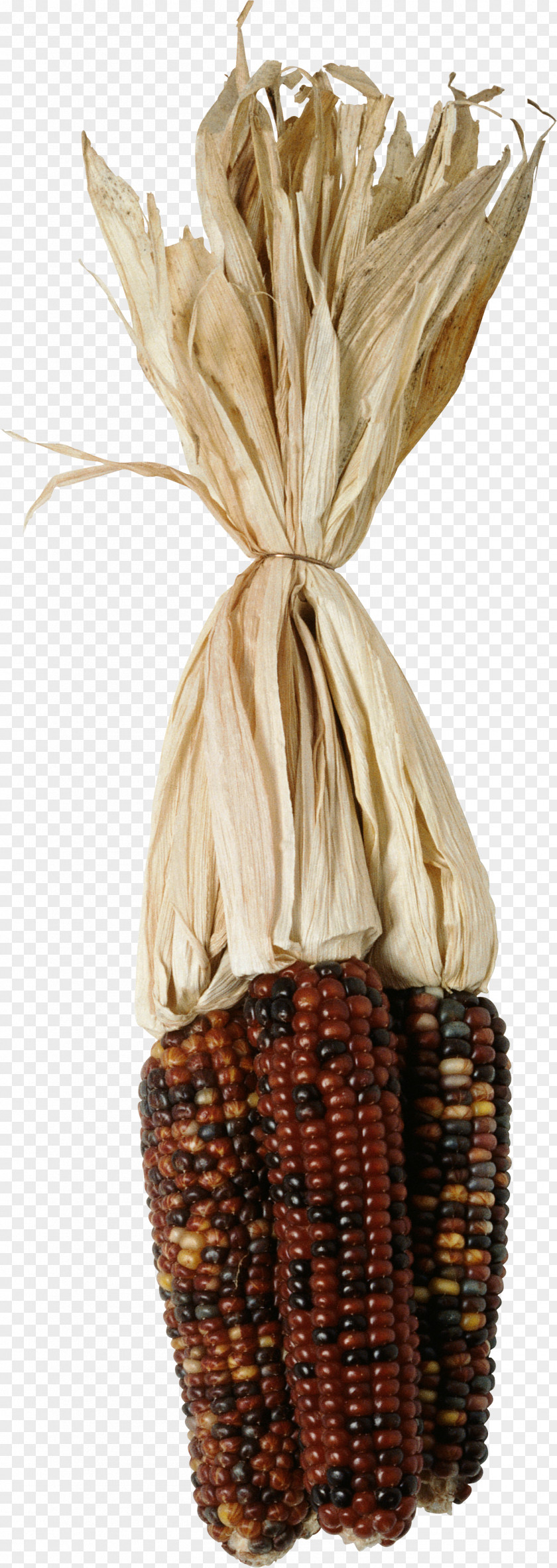 Corn On The Cob Corncob Food Sweet PNG