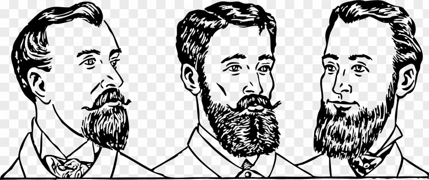 Hair Style Beard Hairstyle Moustache Fashion PNG