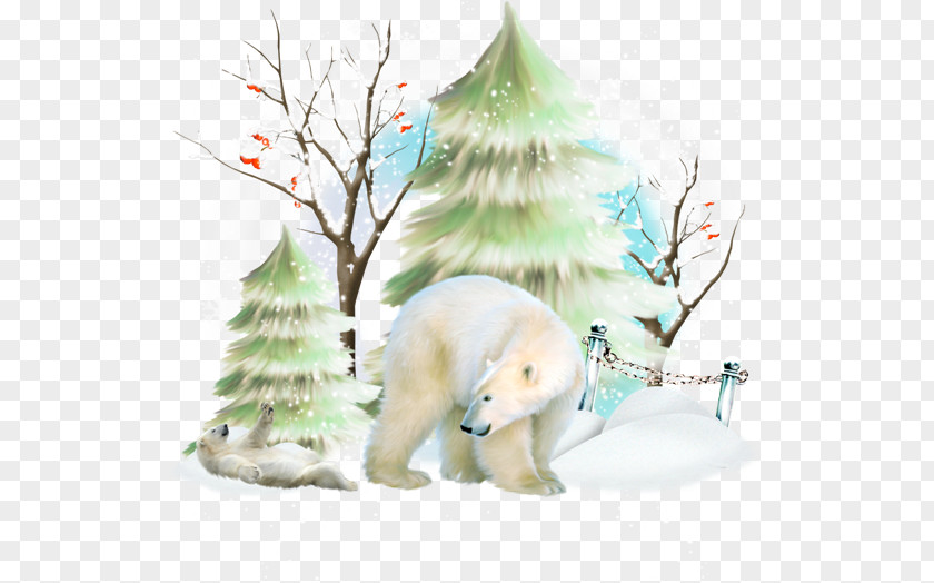 Hand-painted Polar Bear Blog December Cover Letter Winter PNG