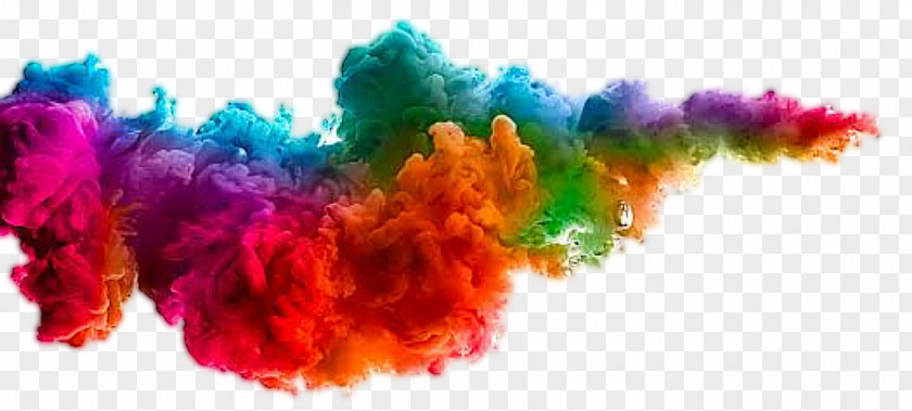 Holi Festival Of Colours Tour Color Clip Art PNG