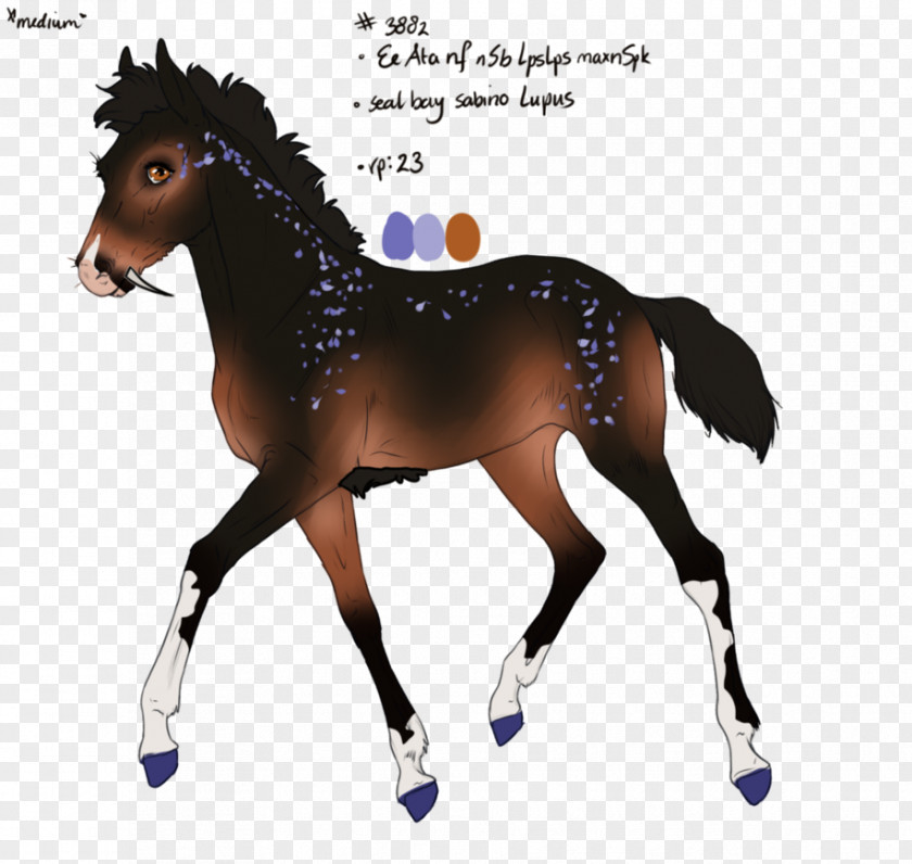 Horse Vector Graphics Illustration Drawing Image PNG