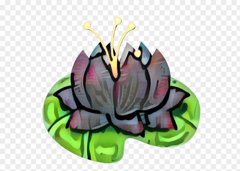 Iris Plant Butterfly Cartoon PNG