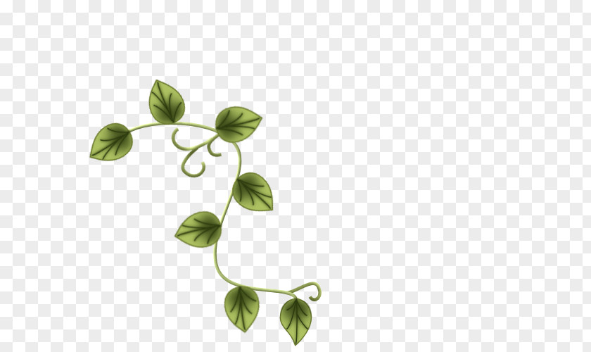 Leaf Flora Plant Stem Week Happiness PNG