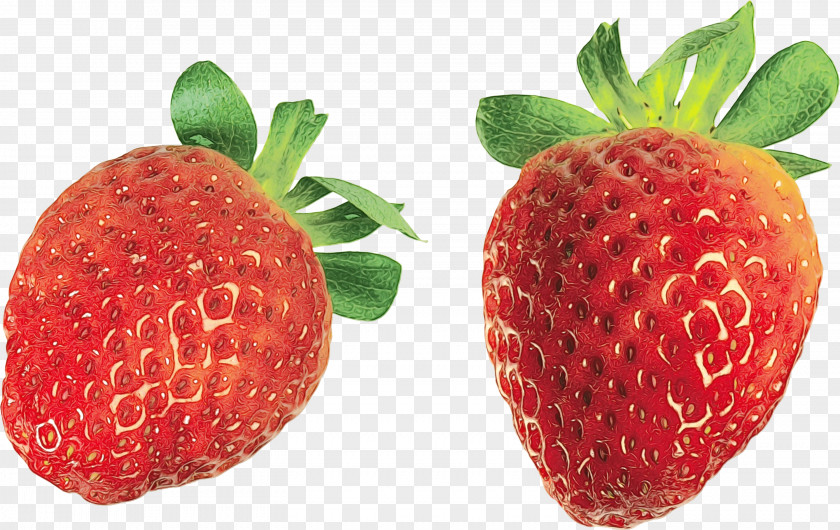 Alpine Strawberry Seedless Fruit Watercolor Natural PNG