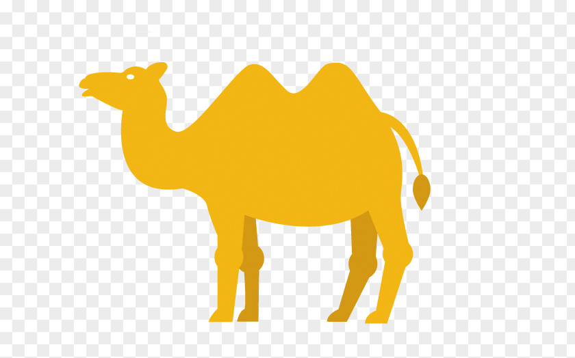 Camel-painted Material Dromedary Youssoufia Berrechid Logo PNG