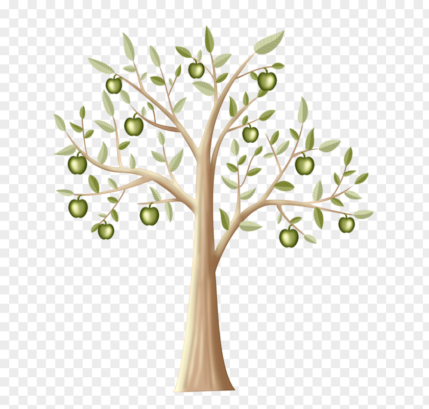 Green Apple Manzana Verde Tree Twig PNG