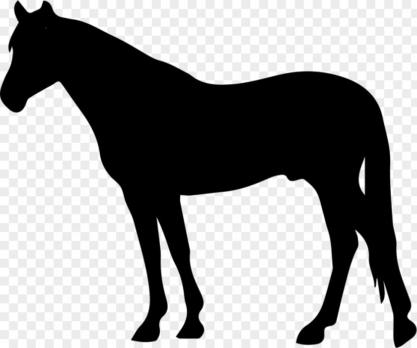 Horse Bullmastiff English Mastiff Silhouette PNG