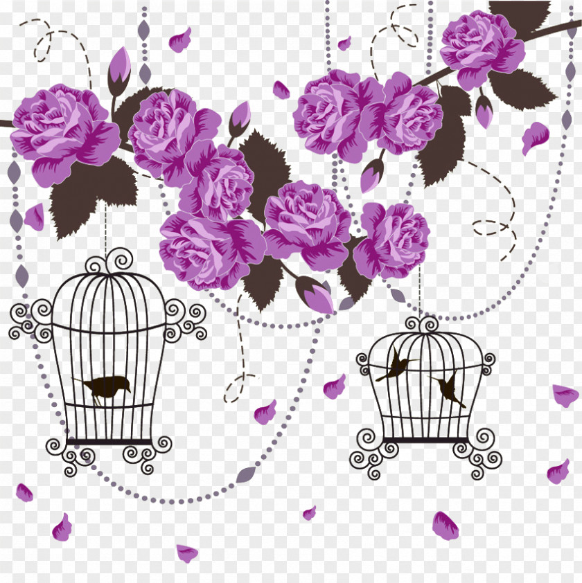 Purple Elegant Element Cage Rose Color Drawing PNG