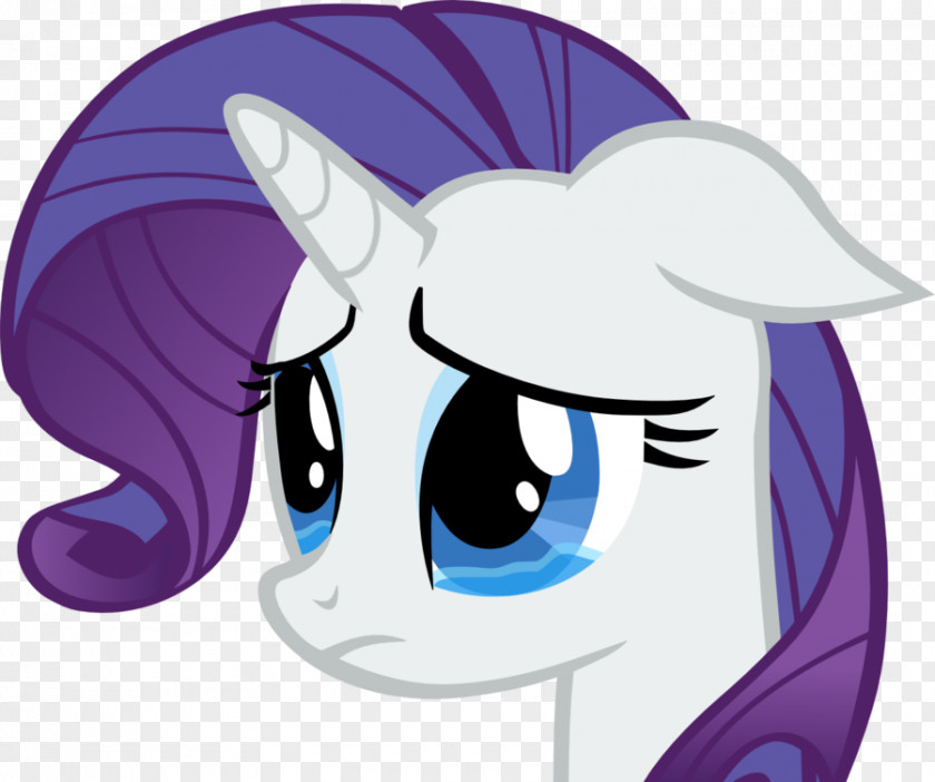 Shivering] Rarity Spike Pony Rainbow Dash Crying PNG