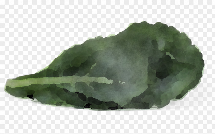 Leaf Vegetable Plant Green Mineral Jade Rock PNG