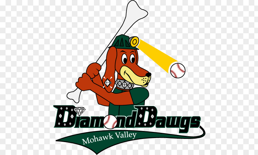 Major League Baseball Players Alumni Mohawk Valley Diamond Dawgs Hudson Perfect Game Collegiate PNG